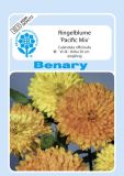 Calendula officinalis "Pacific Mix" - Ringelblume