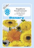 Calendula officinalis "Prinze Gemischt" - Ringelblume