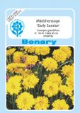 Coreopsis grandiflora "Early Sunrise" - Mdchenauge