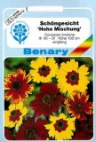 Coreopsis tinctoria "Hohe Mischung" - Mdchenauge/Schngesicht