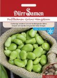 Puffbohne - Dicke Bohne "Hangdown Grnkernig" - Vicia faba