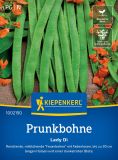 Prunkbohne / Feuerbohne "Lady Di" - Phaseolus coccineus