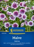 Malva sylvestris "Zebrina" - Zebra-Malve