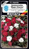 Dianthus chinensis "Magic Charms"- Sommernelke