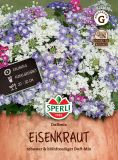 Verbena x hybrida "Duftmix" - Eisenkraut