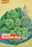 Grnkohl "Westlandse Winter" - Brassica oleracea var. sabellica (Bio-Samen)