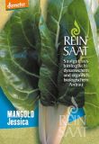 Mangold "Jessica" - Beta vulgaris var. vulgaris  (Bio-Samen)