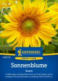 Helianthus annuus "Snack" - Sonnenblume