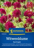Knautia macedonica "Red Knight" - Knautie, Witwenblume