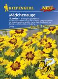 Coreopsis grandiflora "Sunkiss" - Mdchenauge