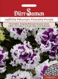 Petunia x hybrida "Pirouette Purple" - Petunie