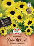 Helianthus debilis "Soluna Lemon" - Sonnenblume