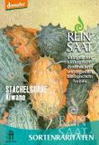 Kiwano, Afrikanische Gurke oder Horngurke - Cucumis metuliferus (Bio-Samen)