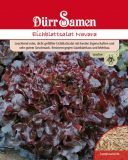 Eichblattsalat "Navara" - Lactuca sativa