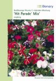 Petunia grandiflora "Hit Parade F1 Mischung" - Petunia