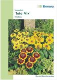 Rudbeckia hirta "Toto Mix" - Sonnenhut