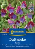 Lathyrus odoratus "Ramia" - Duftwicke