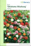 Zinnia elegans "Oklahoma Mischung" - Zinnie