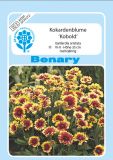 Gaillardia aristata "Kobold" - Kokardenblume