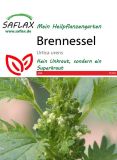 Brennnessel - Urtica urens
