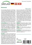 Brennnessel - Urtica urens