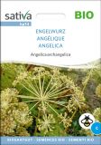 Angelica archangelica - Engelwurz (Bio-Samen)