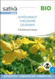 Chelidonium majus - Schöllkraut (Bio-Samen)
