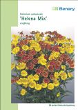Helenium autumnale "Helena Mix" - Sonnenbraut