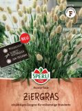 Lagurus ovatus "Bunny Tails" - Hasenschwanzgras