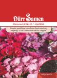 Godetia grandiflora "Mischung" - Sommerazalee
