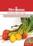 Gelbe Rben "Golden Eye" - Beta vulgaris