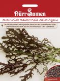 Rote Wilde Rauke "Agano" / Asia-Salat - Brassica juncea