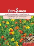Tagetes tenuifolia "Starfire Mischung" - Studentenblume