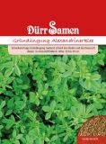 Alexandrinerklee - Trifolium alexandrinum