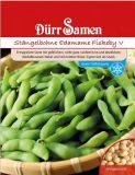 Sojabohne / Stngelbohne "Edamame Fiskeby" - Glycine max