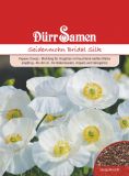 Papaver rhoeas "Bridal Silk" - Seidenmohn, Klatschmohn
