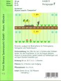 Alyssum saxatile compactum - Stauden-Steinkraut
