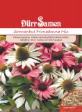 Echinacea purpurea "Primadonna Mix" - Echter Sonnenhut