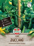 Kletterzucchini "Quine F1" - Cucurbita pepo