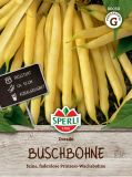 Wachs-Buschbohne "Dorado" - Phaseolus vulgaris