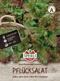 Pflcksalat "Amerikanischer brauner" - Lactuca sativa var. crispa