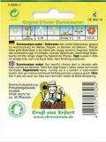 Eccremocarpus scaber - Schönranke