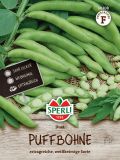 Puffbohne - Dicke Bohne "Duet" - Vicia faba