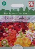 Antirrhinum majus "Sweet Duet F1" - Lwenmulchen