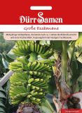 Musa x paradisiaca - Groe Essbanane