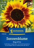Helianthus annuus "Ring of Fire" - Sonnenblume