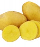Pflanzkartoffel "Nena" (Bio-Qualitt)