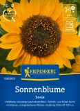 Helianthus annuus "Sonja" - Sonnenblume