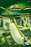 Salatgurke "White Wonder" - Cucumis sativus