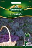 Grnkohl "Scarlet" - Brassica oleracea acephala